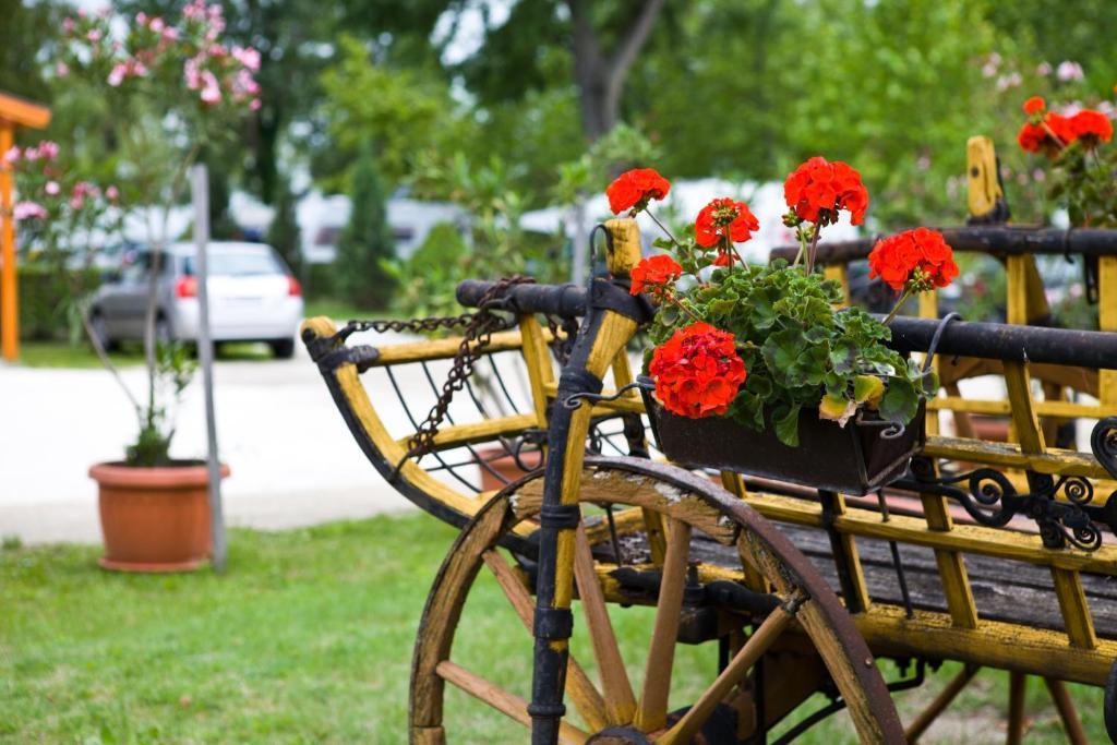 Hôtel Balaton Eldorado Camping à Badacsonytördemic Extérieur photo