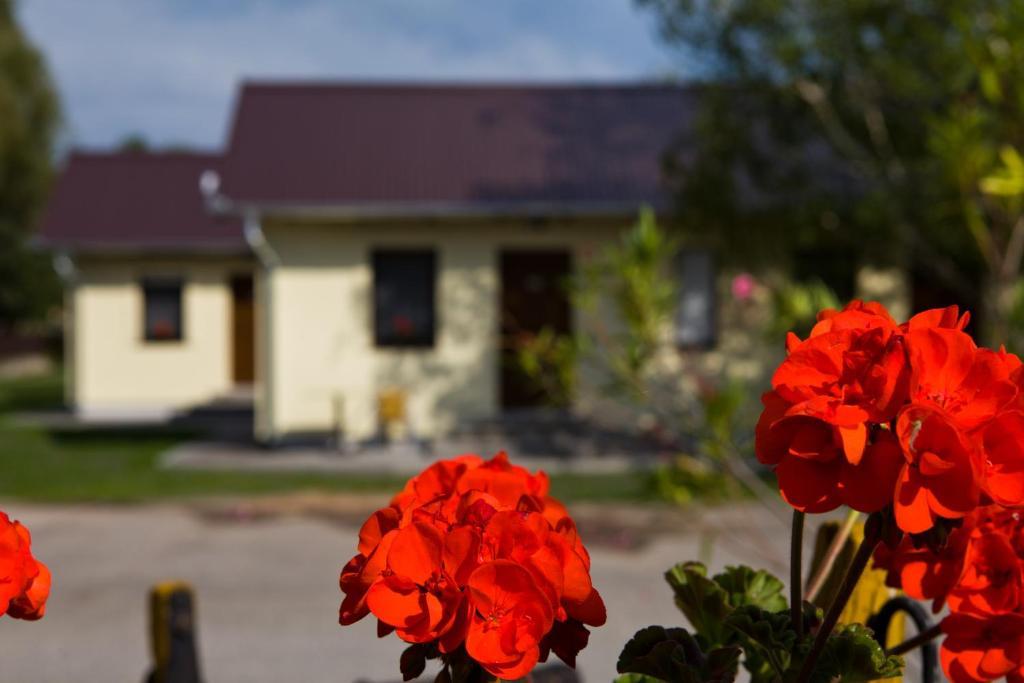 Hôtel Balaton Eldorado Camping à Badacsonytördemic Extérieur photo